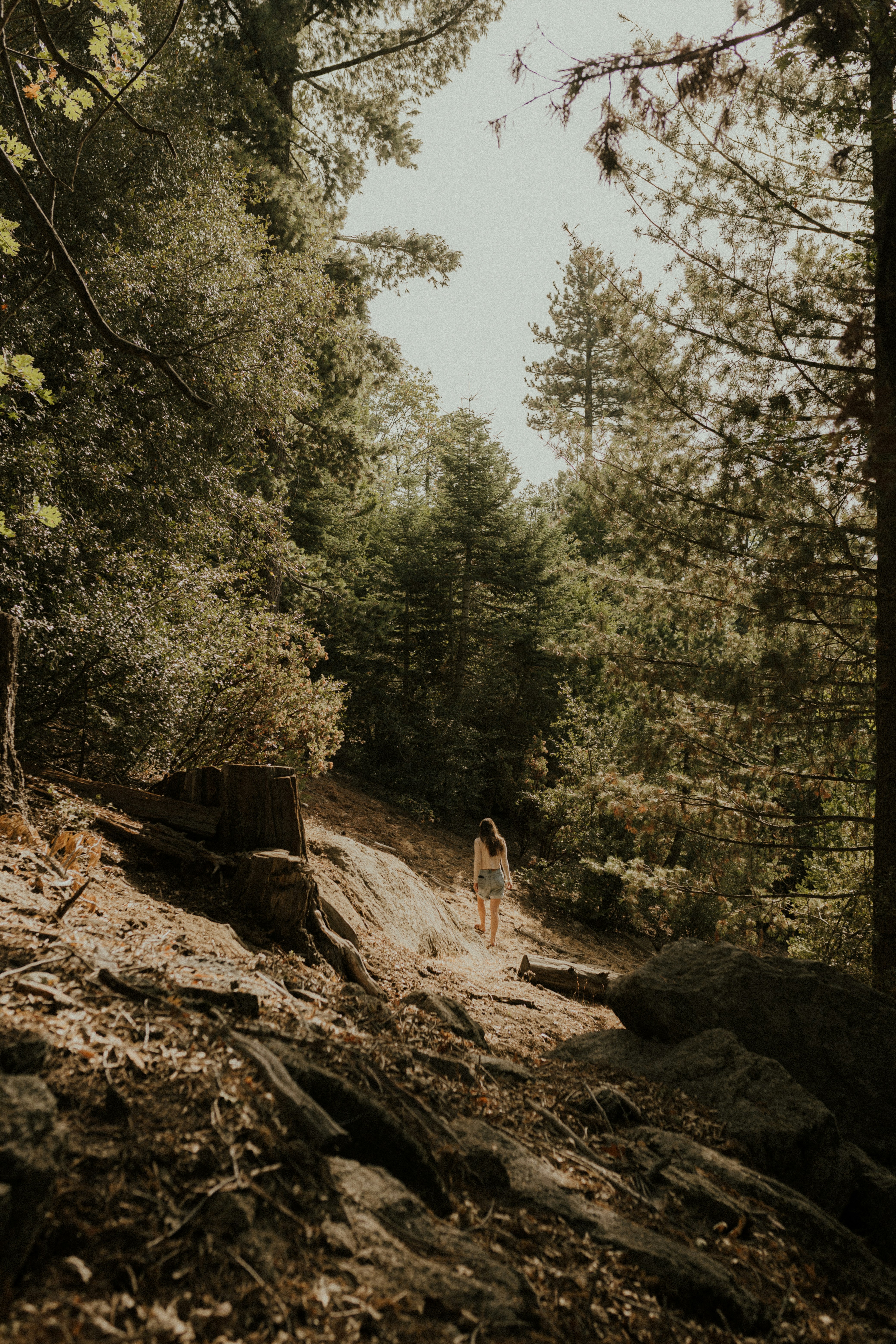 woman in white tank top sitting on brown log during daytime